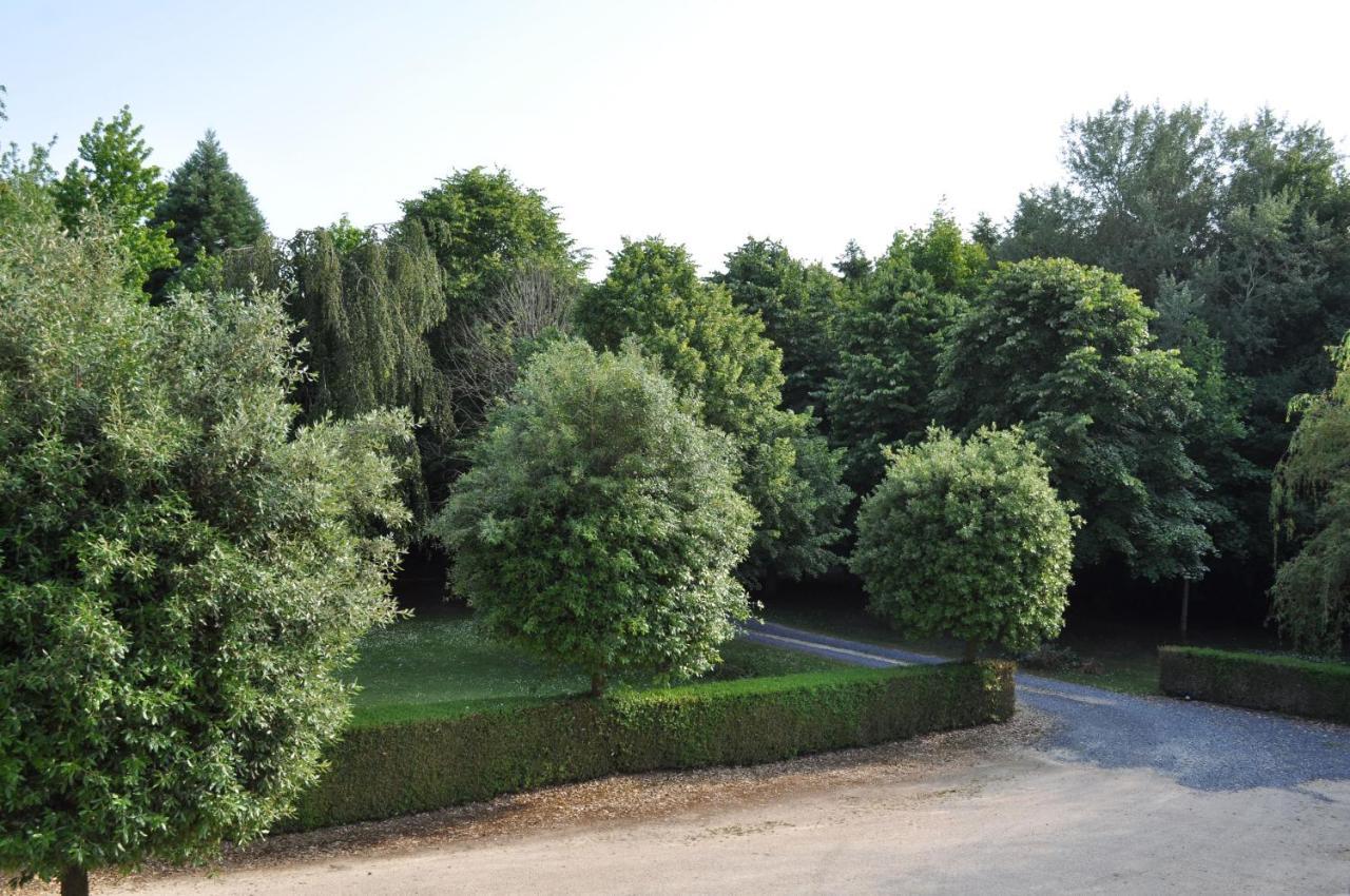 La Villa Des Tilleuls Cambremer Exteriör bild